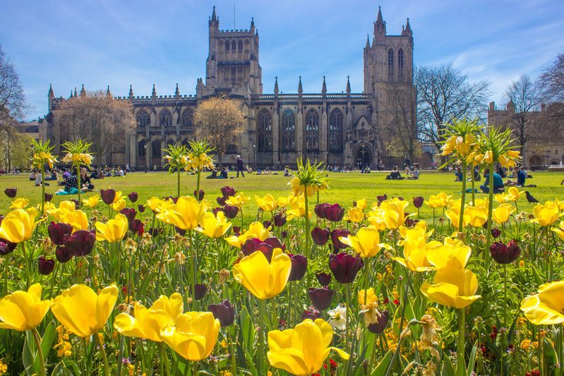 University of Bristol campus in the spring