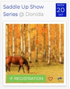 Serie de espectáculos Saddle Up