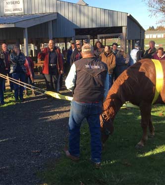 Cours technique de sauvetage d'urgence des grands animaux - 2021 McMinnville