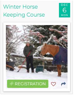 Winter Horse Keeping Course Bundle