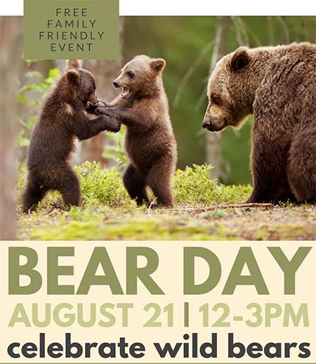 Bear Day