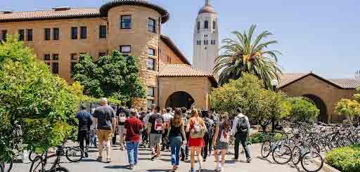 Melinda Hanke, Stanford Üniversitesi Tıp Fakültesi